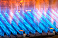 Tremorebridge gas fired boilers